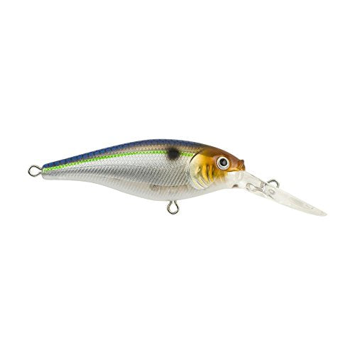 Berkley Flicker Shad Fishing Lure, Blue Smelt, 5/16 oz, 2 3/4in | 7cm Crankbaits, Size, Profile and Dive Depth Imitates Real Shad, Equipped with Fusion19 Hook - color: Blue Smelt, size: 2 3/4in - 5/16 oz