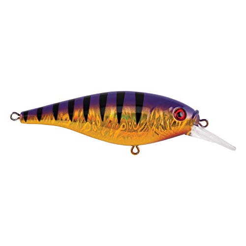 Berkley Flicker Shad Shallow - color: Slick Purple Bengal, size: 1/6 oz, 2"