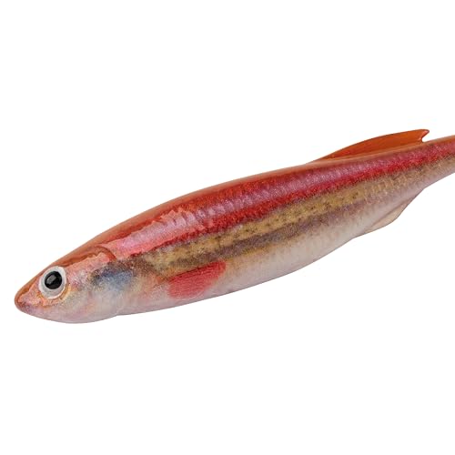 Berkley PowerBait Drip Minnow Fishing Soft Bait - color: HD Rainbow Shiner, size: 4"