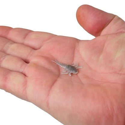 Berkley Gulp! Alive! Stonefly Fishing Soft Bait - color: Starry Night