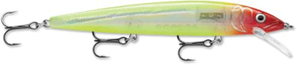 Rapala Husky Jerk Jerkbait – Suspending Hard Bait | Bass Walleye and Pike Fishing Lure, Twitch and Pause Action - color: Glass Clown, size: Body Length: 5-1/2"