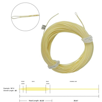 Aventik Fly Fishing Line Float Weight Forward Fly Line Fishing Trout Line Exposed Loop - color: Milk, size: WF-3F