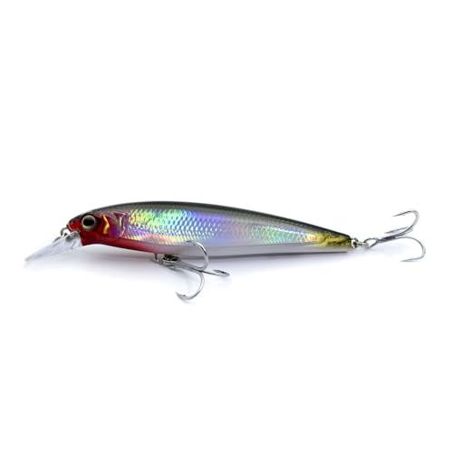 LOGOFUN 2Pcs Fishing Lures Top Water and Deep Sea Bass Fishing Lure for Freshwater and Saltwater Swim Bait 3D Holographic Laser Floating Lure Angling Fishing Gear, 4.7 Inch, 0.8 oz, SW-120F - color: #RB & #KS