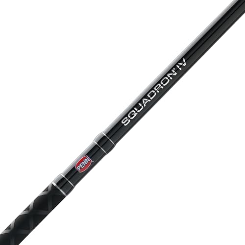 Penn Squadron IV Surf Spinning Rod - size: 10' - Medium Heavy - 15-30lb - 2pc, style: Squadron IV