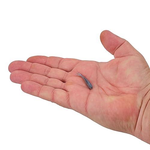 Berkley Gulp! Alive! Minnow Fishing Soft Bait - color: Blue Shiner, size: 1in - Jar