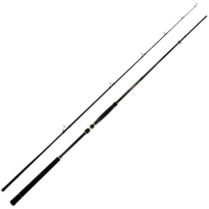 BERRYPRO Light Surf Spinning Rod Striper Fishing Rod Striped Bass surf Rod (9'/9'6''/10'6''/11'/12') - style: 12' - 2pc