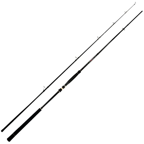 BERRYPRO Light Surf Spinning Rod Striper Fishing Rod Striped Bass surf Rod (9'/9'6''/10'6''/11'/12') - style: 11'- 2pc