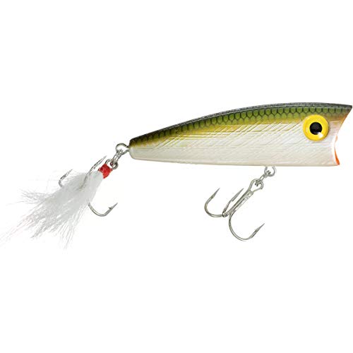 Rebel Lures Pop-R Topwater Popper Fishing Lure - color: Tennessee Shad, style: Modern