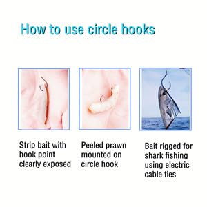 Catfishing Circle Hooks 50/100Pcs Octopus Fishing Circle Hooks Saltwater Freshwater for Catfish Bass Redfish 1/0 2/0 /3/0 4/0 5/0 6/0 7/0 8/0 9/0 10/0 12/0 14/0 - size: 100PCS 2/0