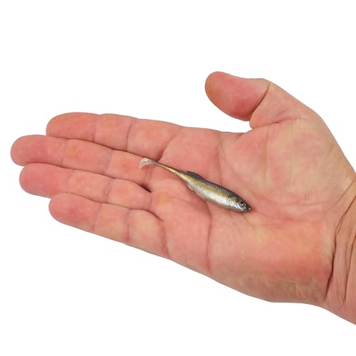 Berkley PowerBait Drip Swimmer Fishing Soft Bait - color: Black Shad, size: 3"