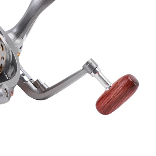 Kadimendium Spinning Fishing Reel Lightweight Strong Long Lasting for Trout Carp Fishing Gear