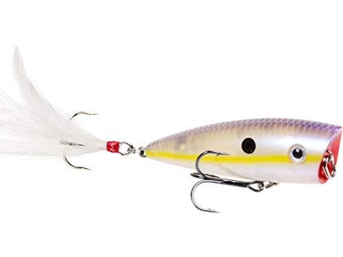 Strike King Junior KVD Splash Hardbait Series Bait - color: Chartreuse Shad, size: 0.05