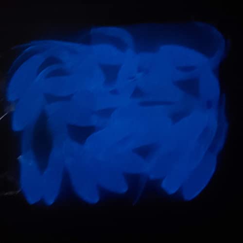 Small Fry 40 Pack (1.75 Inch) Crappie, Panfish, Bass and More - color: Blue Glow
