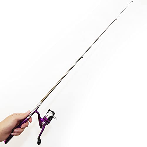 Compact Pocket Telescopic 38inch Mini Pen Fishing Rod Spinning Reel Combos Pen Folded Fishing Pole Spinning Wheel Gift for River, Lake, Reservoir, Ice Fishing and So On - color: Purple