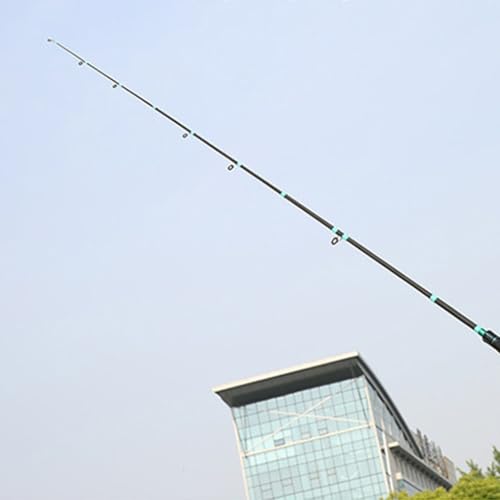 Spin & Casting Rods, Strong Carbon&Glass Composite Fishing Rod with Stainless Steel Line Guides for Bass, Trout, Panfish, Catfish(POLISHED SPIN 1.65M)