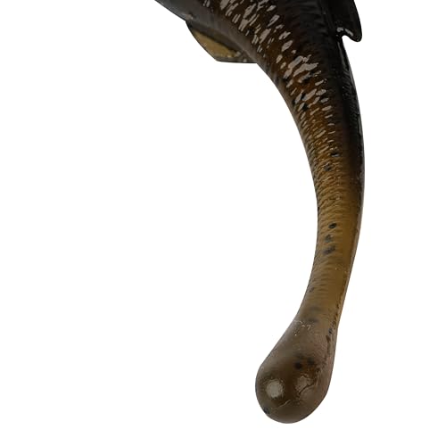 Berkley PowerBait Drip Minnow Fishing Soft Bait - color: Green Pumpkin Shad, size: 5"