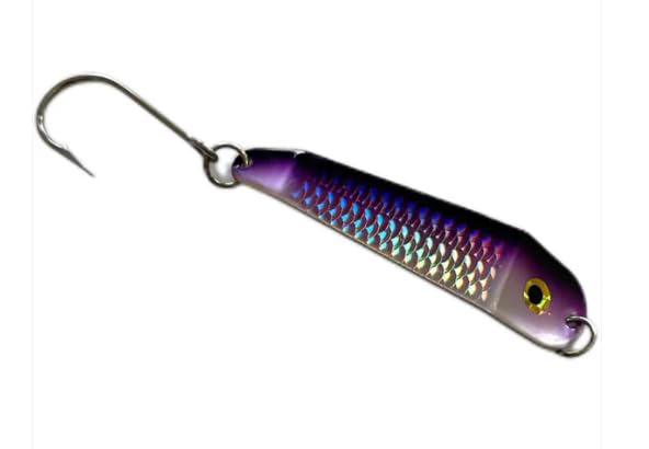 Loony Spoons Max 2-Pack Premium Fishing Lures | Salmon, Trout, Walleye - Saltwater and Freshwater - color: Purple Chovy, size: Size 3.5 - 3.75"