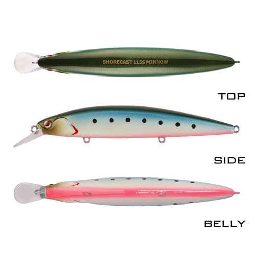 LITTMA Shore Cast 115 Saltwater Sinking Minnow Jerkbait Fishing Plug - color: Sardine Pinkbelly(Super Glow)