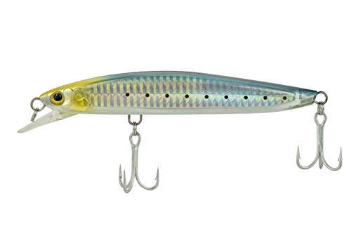 5 1/2" Floating Minnow Lure - 5 Colors to Choose from - color: Sunrise Shad