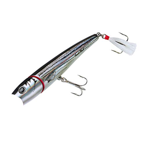 Creek Chub Knuckle Head Jointed Topwater Fishing Lure with Chugging and Popping Action - color: Silver/Black Back