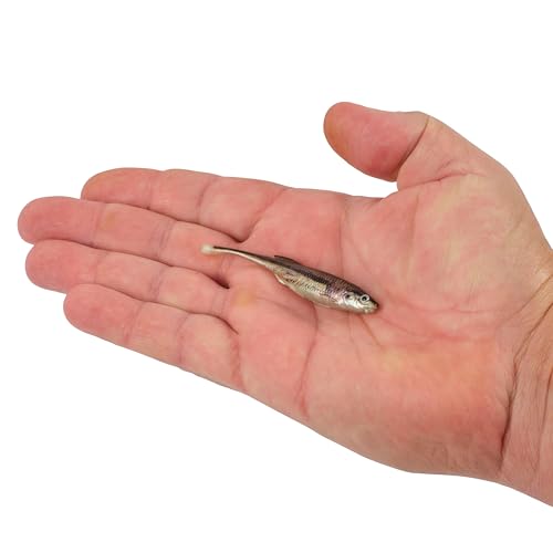 Berkley PowerBait Drip Minnow Fishing Soft Bait - color: HD Blacknose Shiner, size: 3"