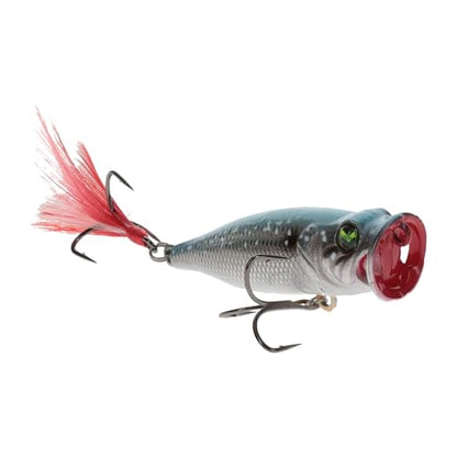 Lew's Mach Baits Sprayin' Shad - color: Sexy Shad 2.0