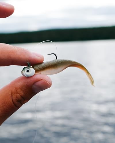 Dirty Jigs Guppy Jig Head, 1/0 Hook - USA Made, 1/8-3/8oz, 3 Count - color: Gizzard Shad, size: 3/16oz