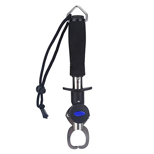 3 in 1 Fish Lip Grip Tool with Digital Scale 15kg, Fish Grabber for Freshwater Fishing, Stainless Steel EVA Foam Handle