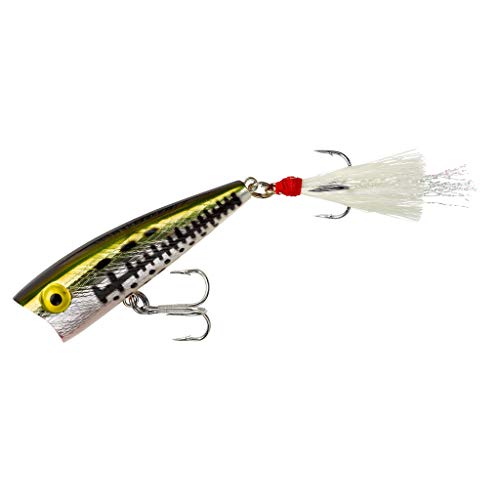 Rebel Lures Pop-R Topwater Popper Fishing Lure - color: Ol' Bass, style: Teeny Pop-r (1/8 Oz)