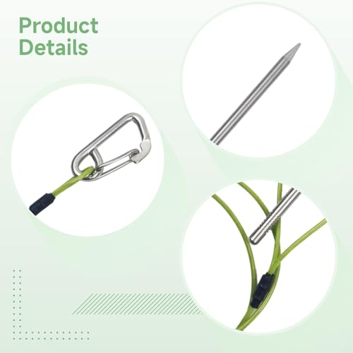 Stainless Steel Fish Stringer, 31.5 in / 80 cm Green Rope, 7.9 in / 20 cm Needle, Safety Buckle and Needle Cap, Fish Holder for Kayak Fishing