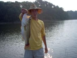 Floating Worm 10 Per Pack 6 Inch Scented Bass, Walleye and More - color: Green Pumpkin
