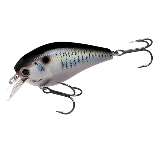 LUCKY CRAFT LC 2.5 Silent Crankbait Fishing Lures, 2-3/8” Squarebill Crankbait, Bass Lures, Floating 4ft Depth Hard Bait, Champion Freshwater Fishing Gear and Tackle Box Accessories - color: 425 Live Thredafin Shad