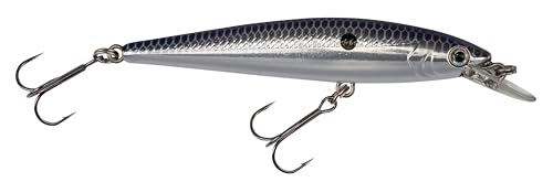 Strike King (HCKVDJ100-401 KVD Jerkbait 100 2-Hook Fishing Lure, 401 - Smokey Chrome/Blue, 1/4 oz, 3 5/8" - size: One Size
