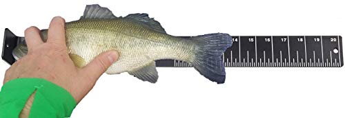 RITE-HITE Official Fish Measuring Board - Measure Your Catch up to 20"