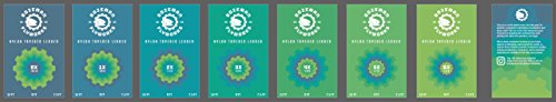 5 Pack - Fly Fishing Tapered Leaders - 12' (9', 1x)
