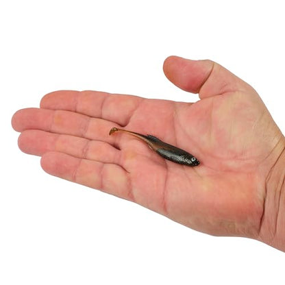 Berkley PowerBait Drip Swimmer Fishing Soft Bait - color: Green Pumpkin Shad, size: 3"