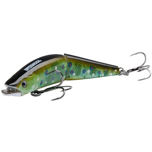 BASSROCK Minnow Swimbait Bass Trout Fishing Lure with Movable Lip Hard Bait 3.5” 1/2oz - color: Brook Trout
