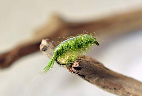 Scud Nymph Fishing Flies | Choose from Olive, Tan & Pink | Mustad Signature Fly Hooks | Perfect for Trout - style: 1 Doz Olive Assortment