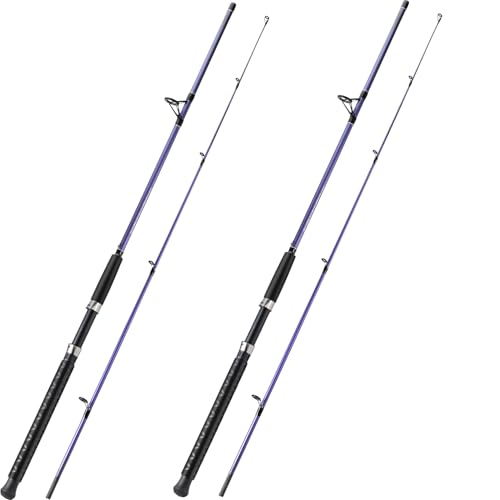 Sougayilang Spinning Rods, Strong Carbon&Glass Composite Fishing Pole with Stainless Steel Line Guides for Catfish- 7'0" - color: Purple-2Pack