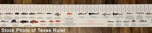 STATE COASTAL FISH RULER with FISH ID and FISHING REGULATIONS - 50 INCH RULER DECALS - style: Massachusetts