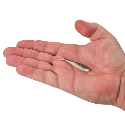 Berkley Gulp! Alive! Minnow Fishing Soft Bait - color: Smelt, size: 2 1/2in - Pint 4x7