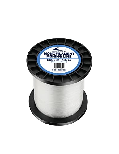 BLUEWING Monofilament Fishing Line Clear Mono Fish Wire Thin Diameter String 6-400 lbs, 50-3000 Yards - color: 01-Clear, size: 0.55mm/40lb/500YD