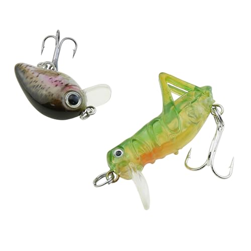 10-Piece Mini Fishing Lures Set Micro Hard Bait Crankbaits Versatile Lures for Freshwater Saltwater Trout Bass Perch with Storage Box Fishing Tackle Gift