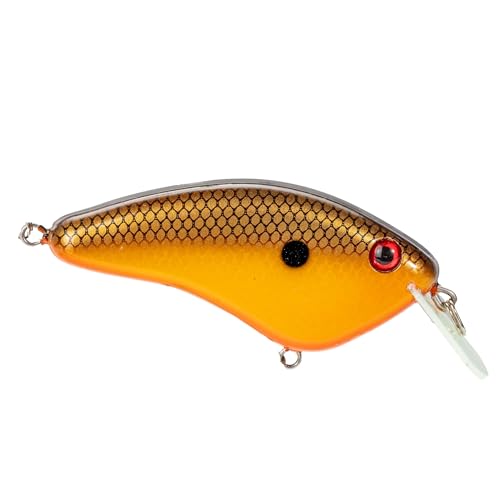 Strike King Hardliner Fishing Lure, Flat Sided Crankbait, Circuit Board Lip, Extra Tight Wobble, Size 4 Treble Hooks - color: Baby Carp