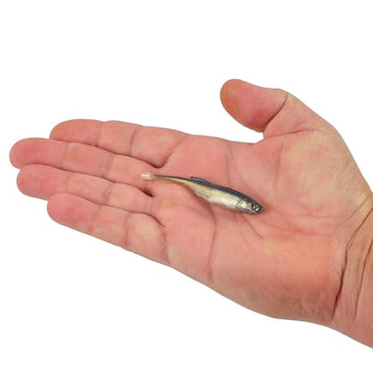 Berkley PowerBait Drip Minnow Fishing Soft Bait - color: Black Shad, size: 3"