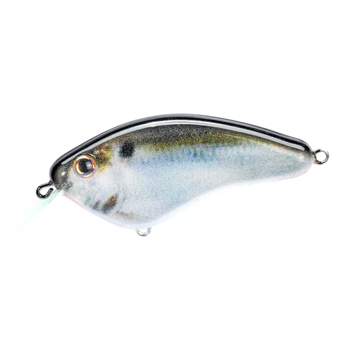 Strike King Hardliner Fishing Lure, Flat Sided Crankbait, Circuit Board Lip, Extra Tight Wobble, Size 4 Treble Hooks - color: Natural Shad