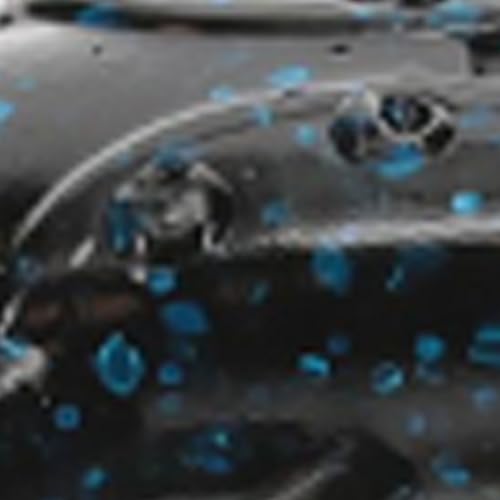 Strike King Rage Scounbug Soft Bait Fishing Lure, 3.5", 2 Rage Flange Pincers - color: Black/Blue
