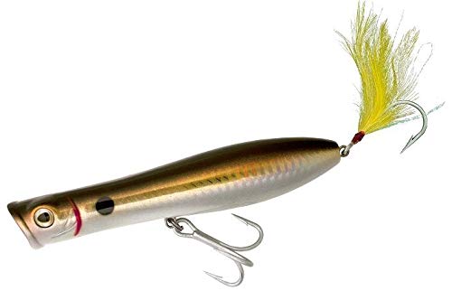 Tsunami Talkin Pencil Popper 5" Bunker XD Version Lure