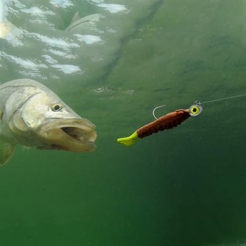 Dr.Fish 10 Pack Fishing Eyes Jigs 3D Eyes Trout Heads Bass Hook Saltwater Swimbait Jig Heads Freshwater Walleye Redfish Striper 1/2oz 3/8oz 1/4oz 3/16oz - color: Blue Eyes, size: 1/2oz-Hook #5/0