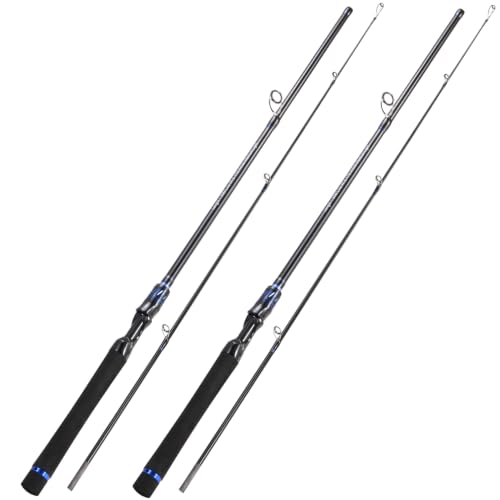 DC Baitcasting Combo, Smart Digital Brake Reel, 4-Section Carbon Rod, Tackle Bag, Line & Lures, Complete Travel Kit for Bass Freshwater - color: Only Spinning Rod-2PACKS- 5‘6“- Blue